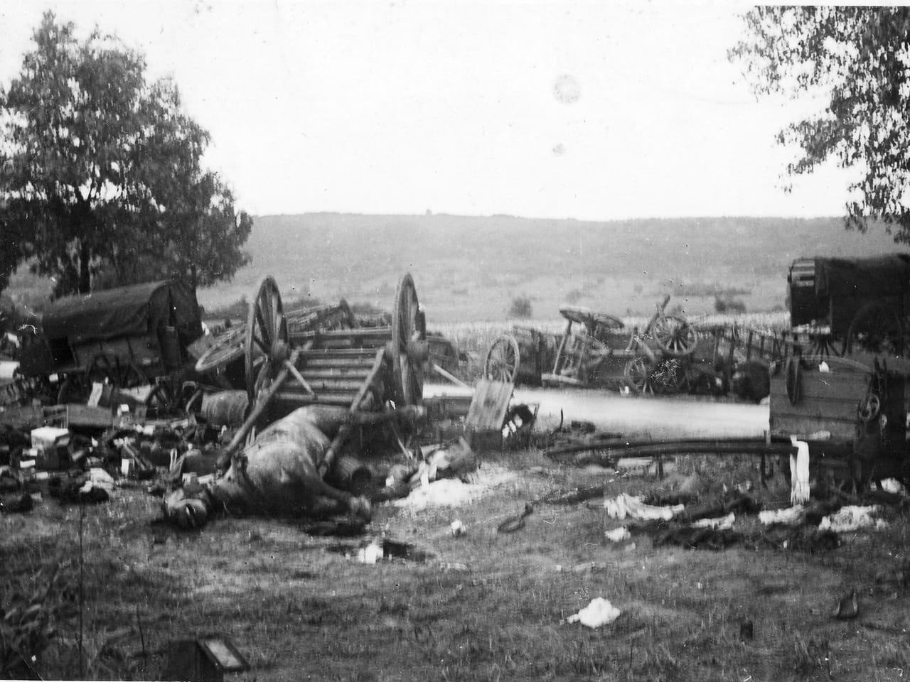 Rozbita kolumna wozów konnych na polskiej drodze po niemieckim nalocie we wrześniu 1939 roku