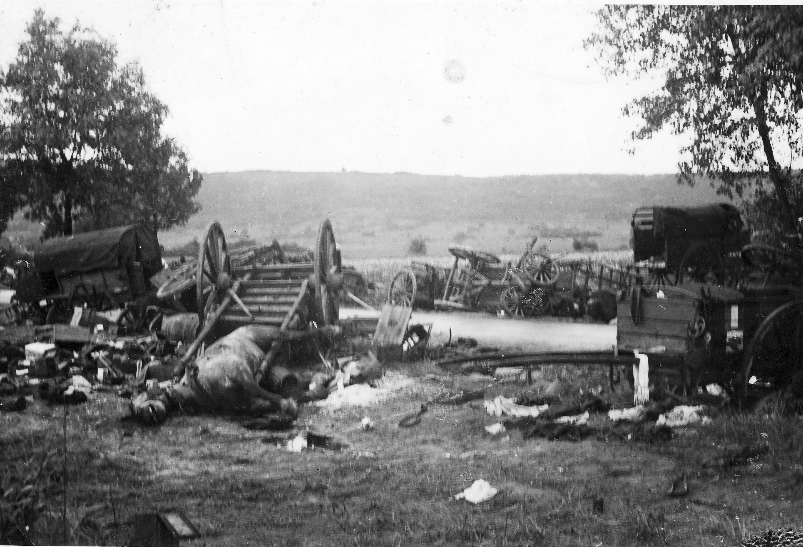 Rozbita kolumna wozów konnych na polskiej drodze po niemieckim nalocie we wrześniu 1939 roku