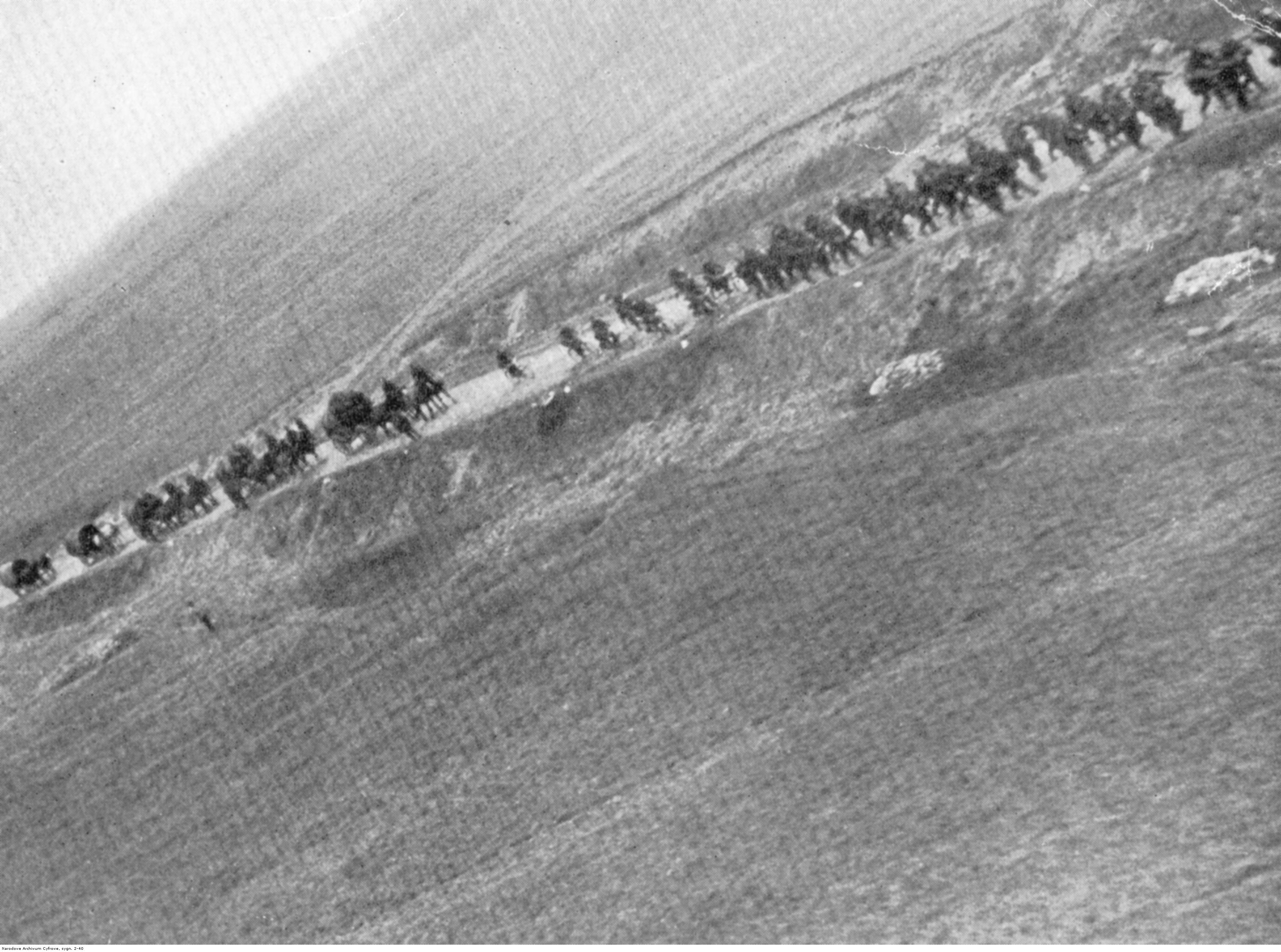 Lotnicze zdjęcie kolumny niemieckiej piechoty z taborem konnym maszerującej polną drogą we wrześniu 1939 roku