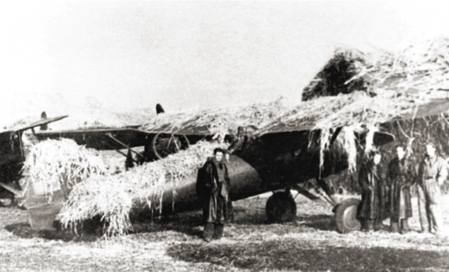 Polski myśliwiec PZL P.11 zamaskowany na lotnisku polowym we wrześniu 1939 roku