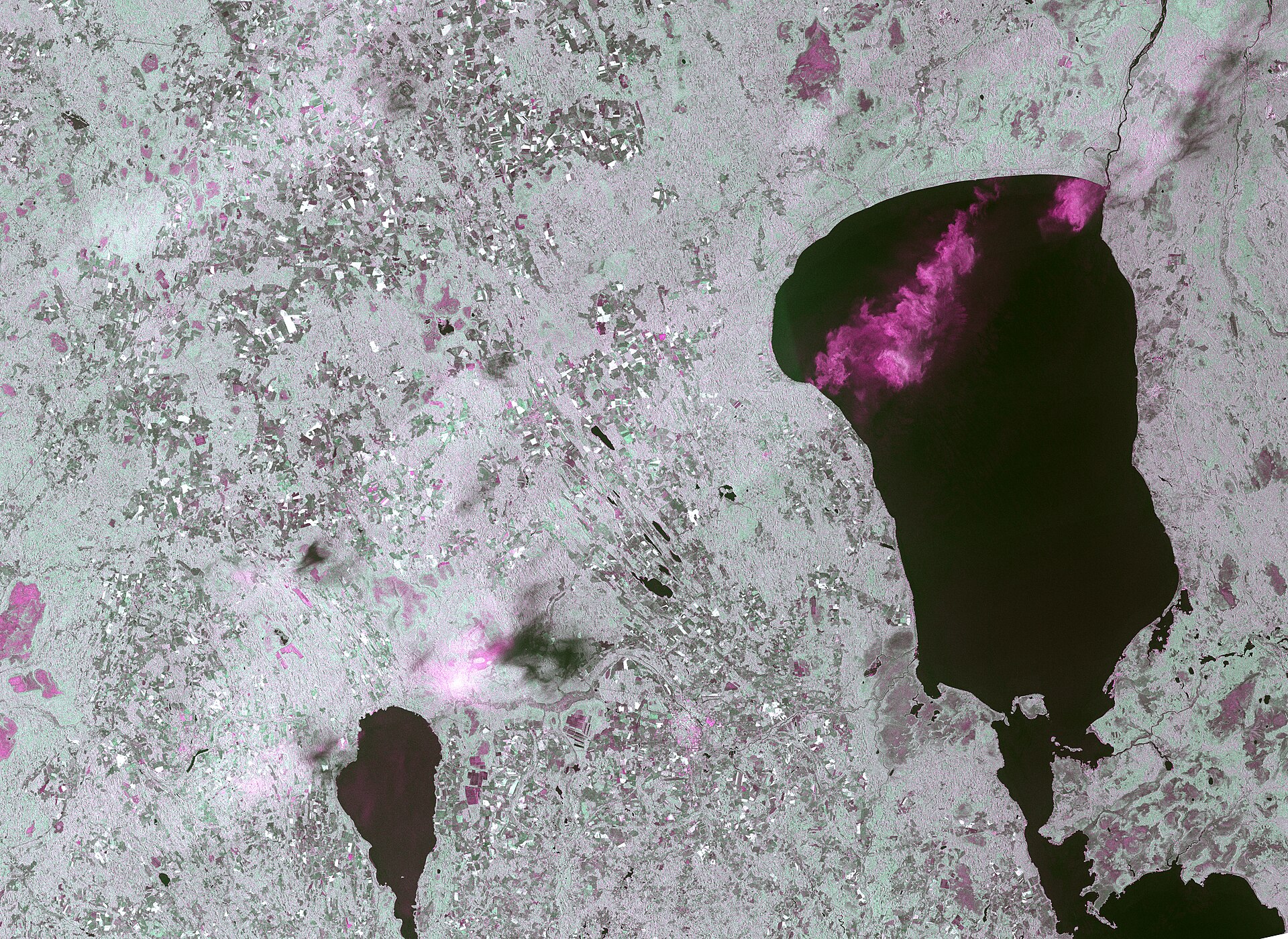 Obraz radarowy z satelity Sentinel-1 przedstawiający rejon Bałtyku